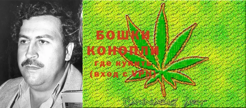 Канабис OG Kush  Гвардейск 